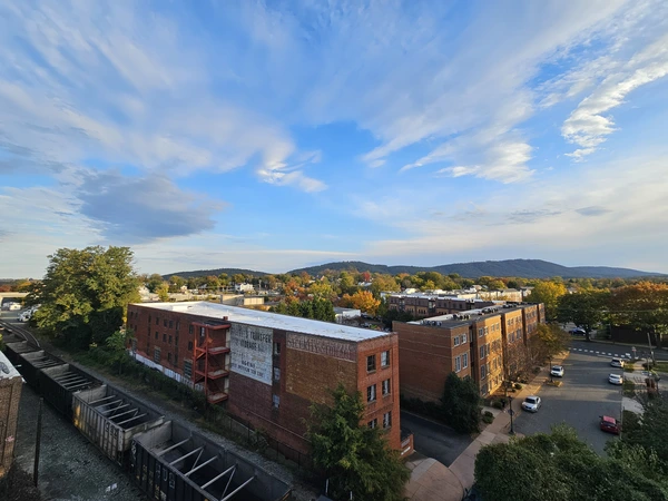 Cville Apt + Mountain View